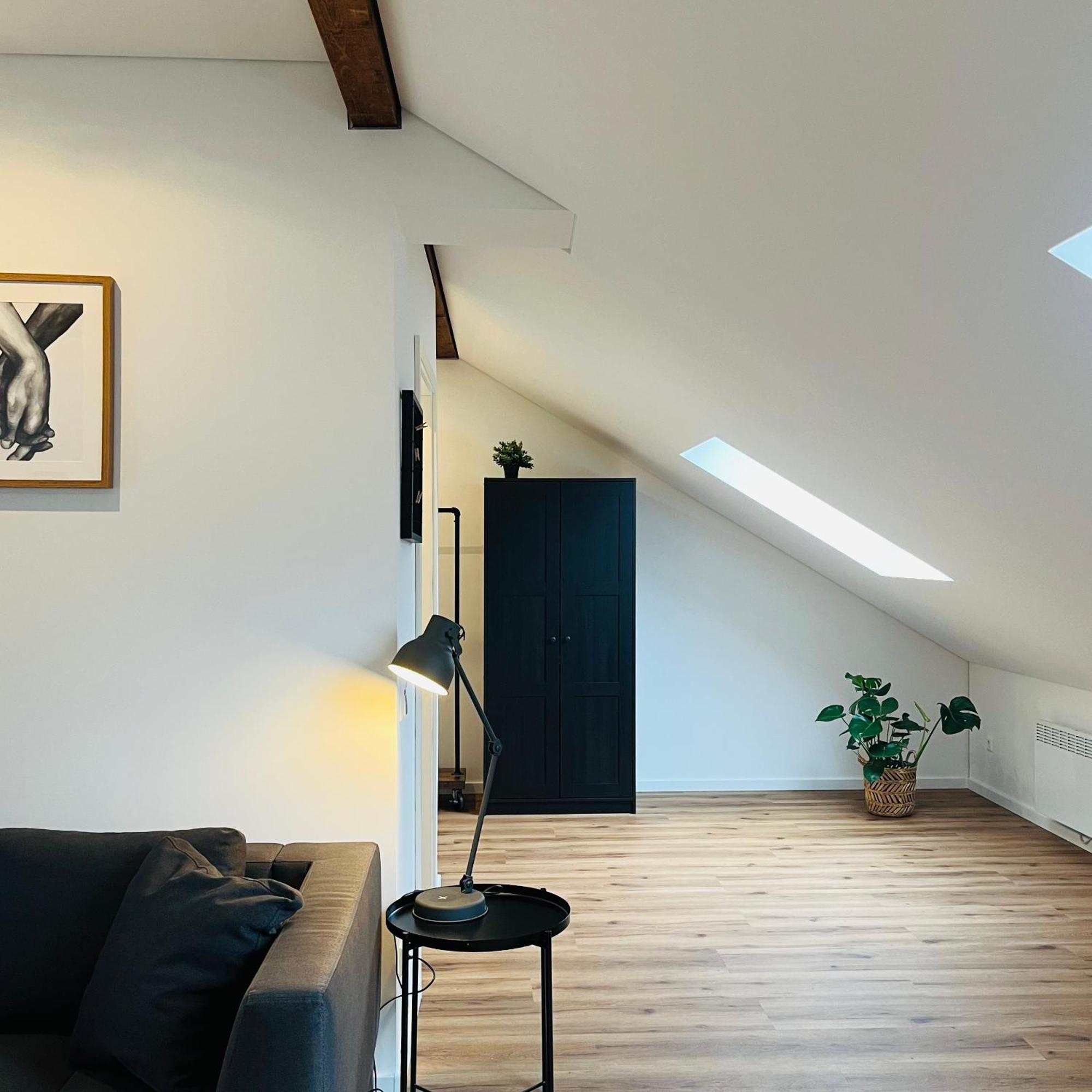 City Loft Apartment Bad Saeckingen Eksteriør bilde