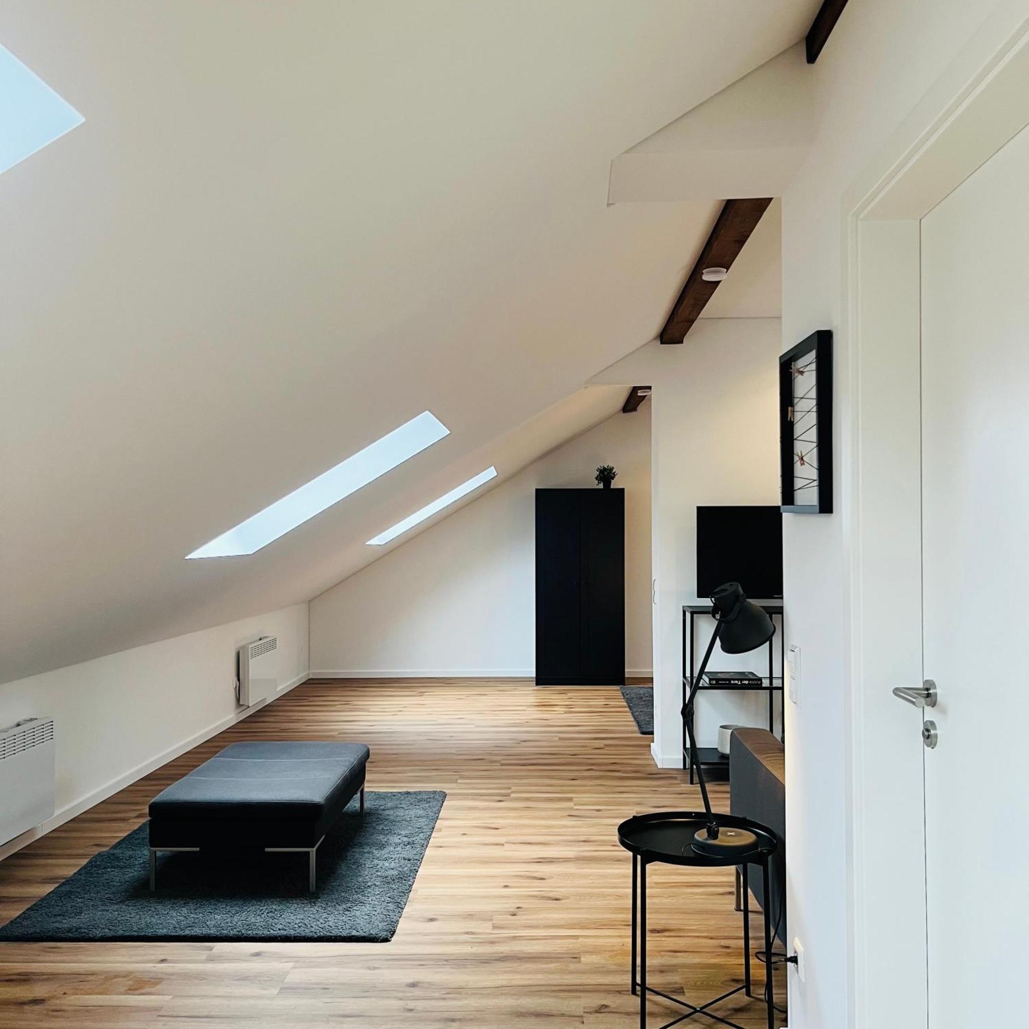 City Loft Apartment Bad Saeckingen Eksteriør bilde
