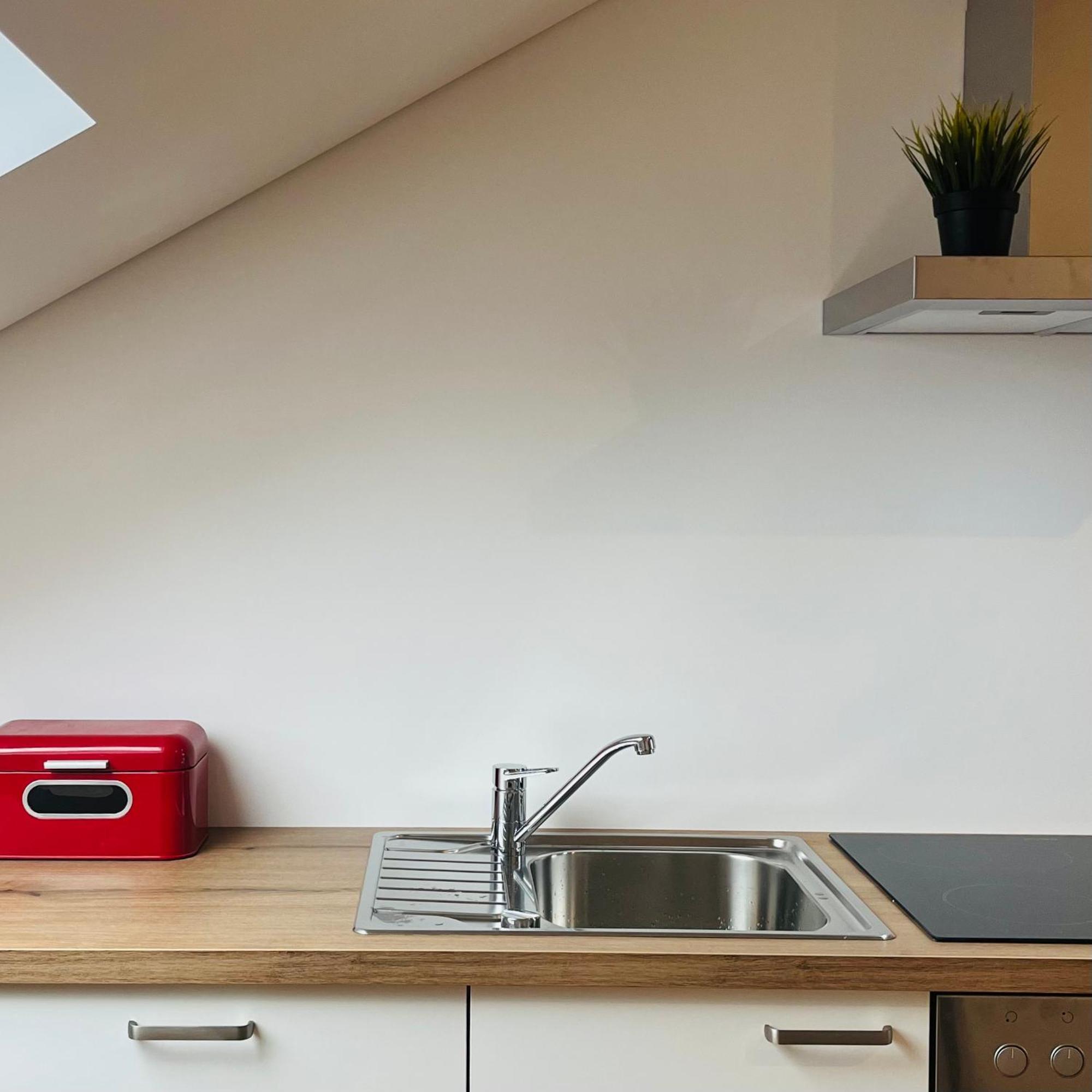 City Loft Apartment Bad Saeckingen Eksteriør bilde