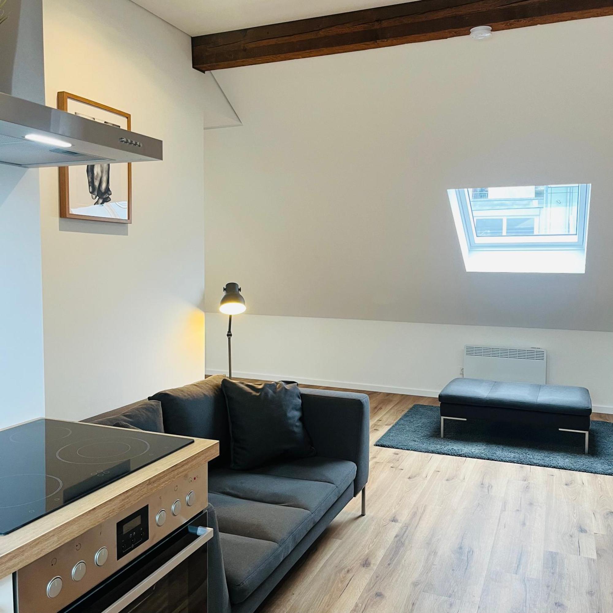 City Loft Apartment Bad Saeckingen Eksteriør bilde