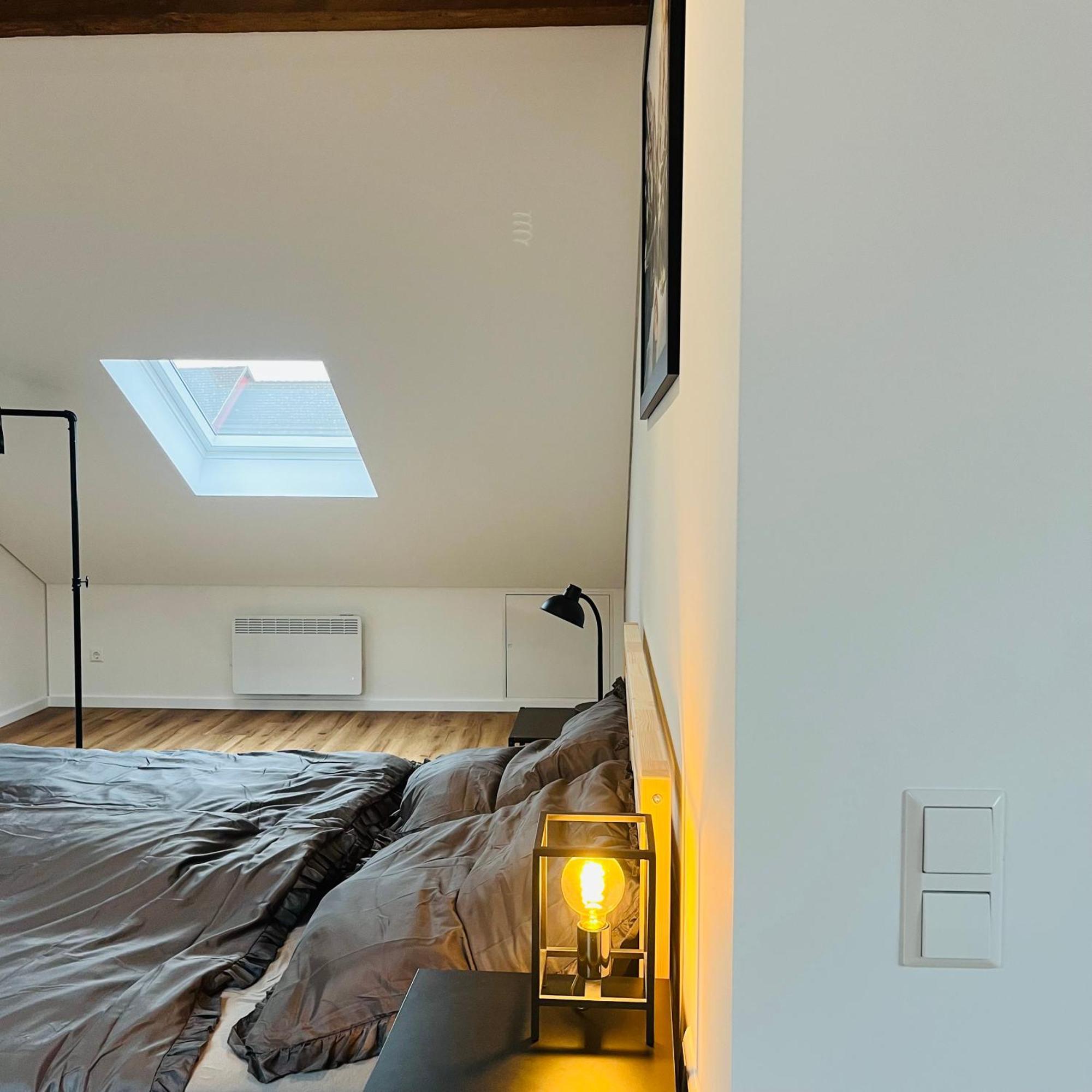 City Loft Apartment Bad Saeckingen Eksteriør bilde