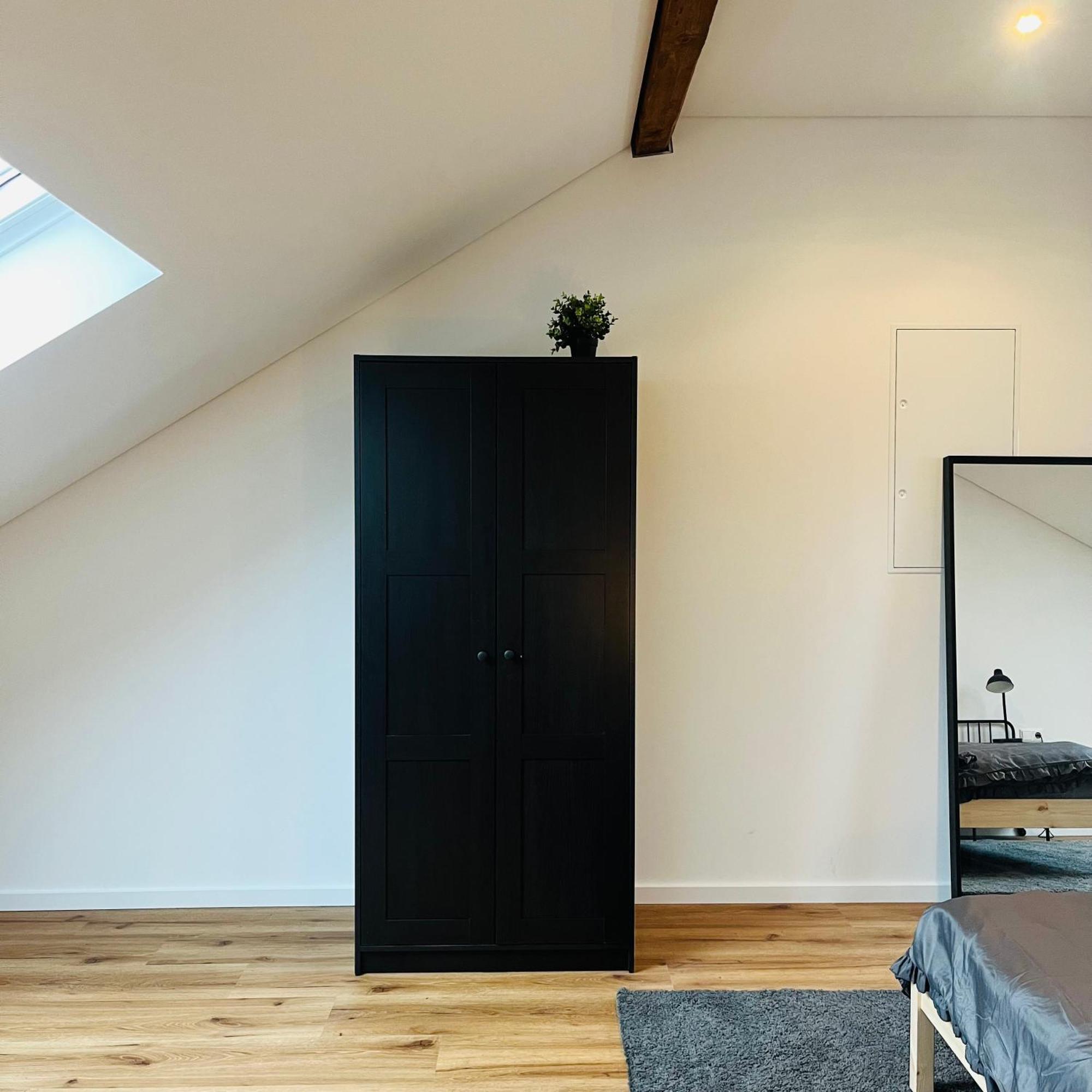 City Loft Apartment Bad Saeckingen Eksteriør bilde