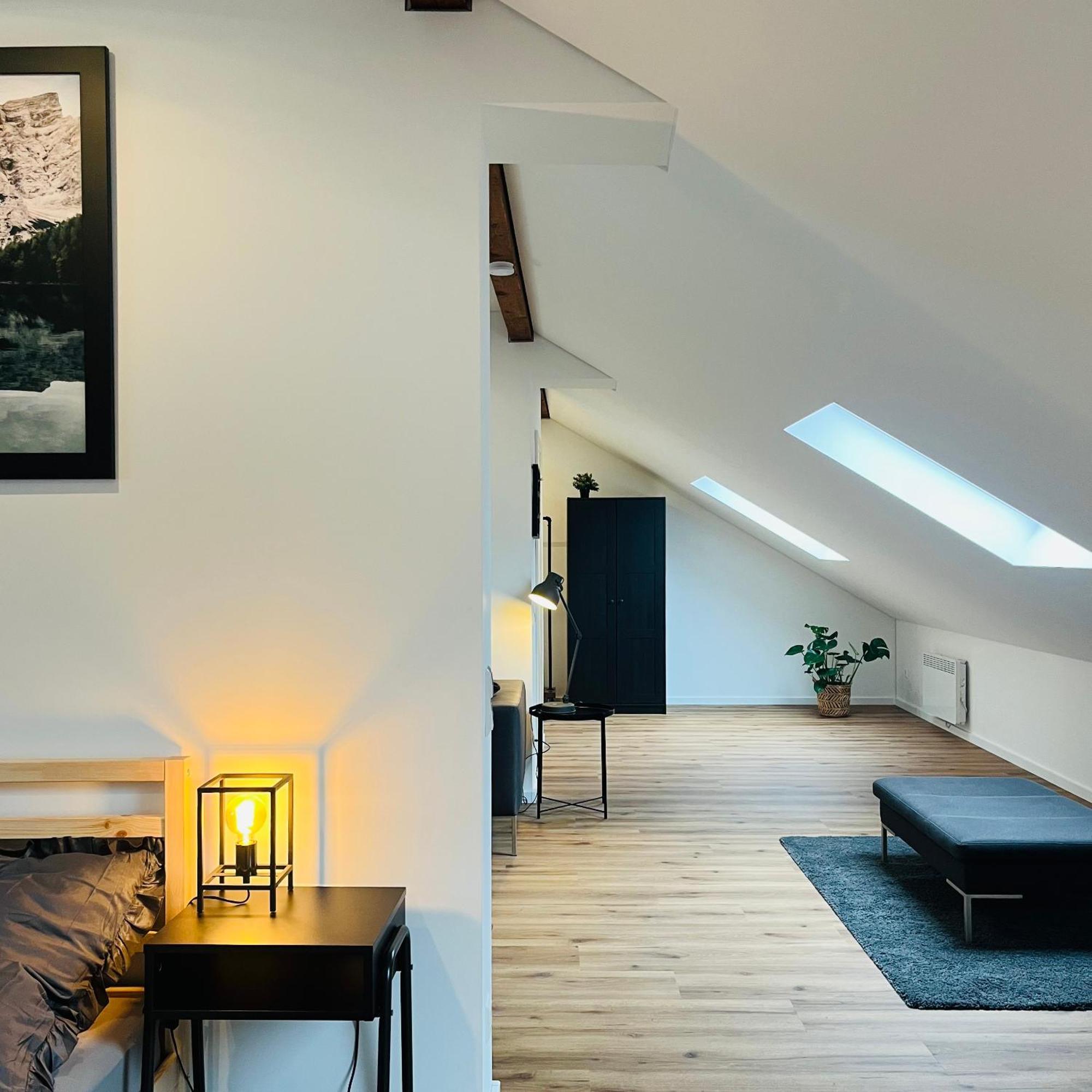 City Loft Apartment Bad Saeckingen Eksteriør bilde