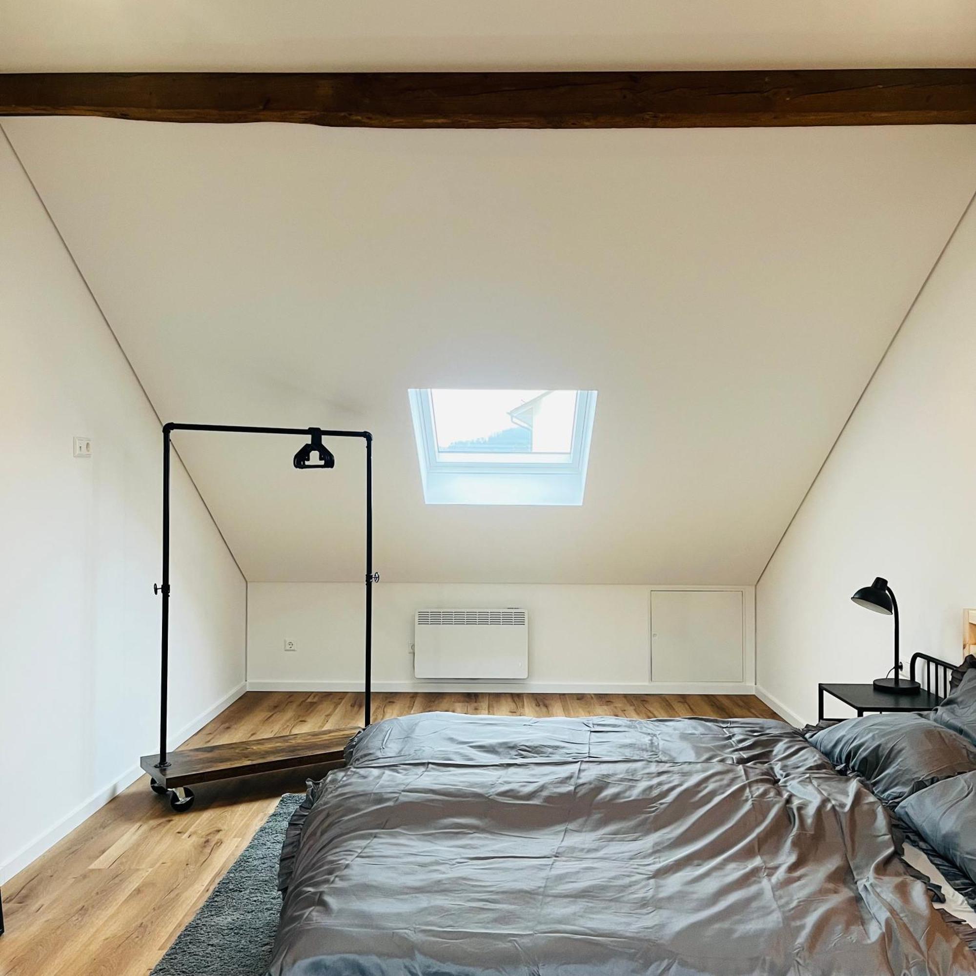 City Loft Apartment Bad Saeckingen Eksteriør bilde